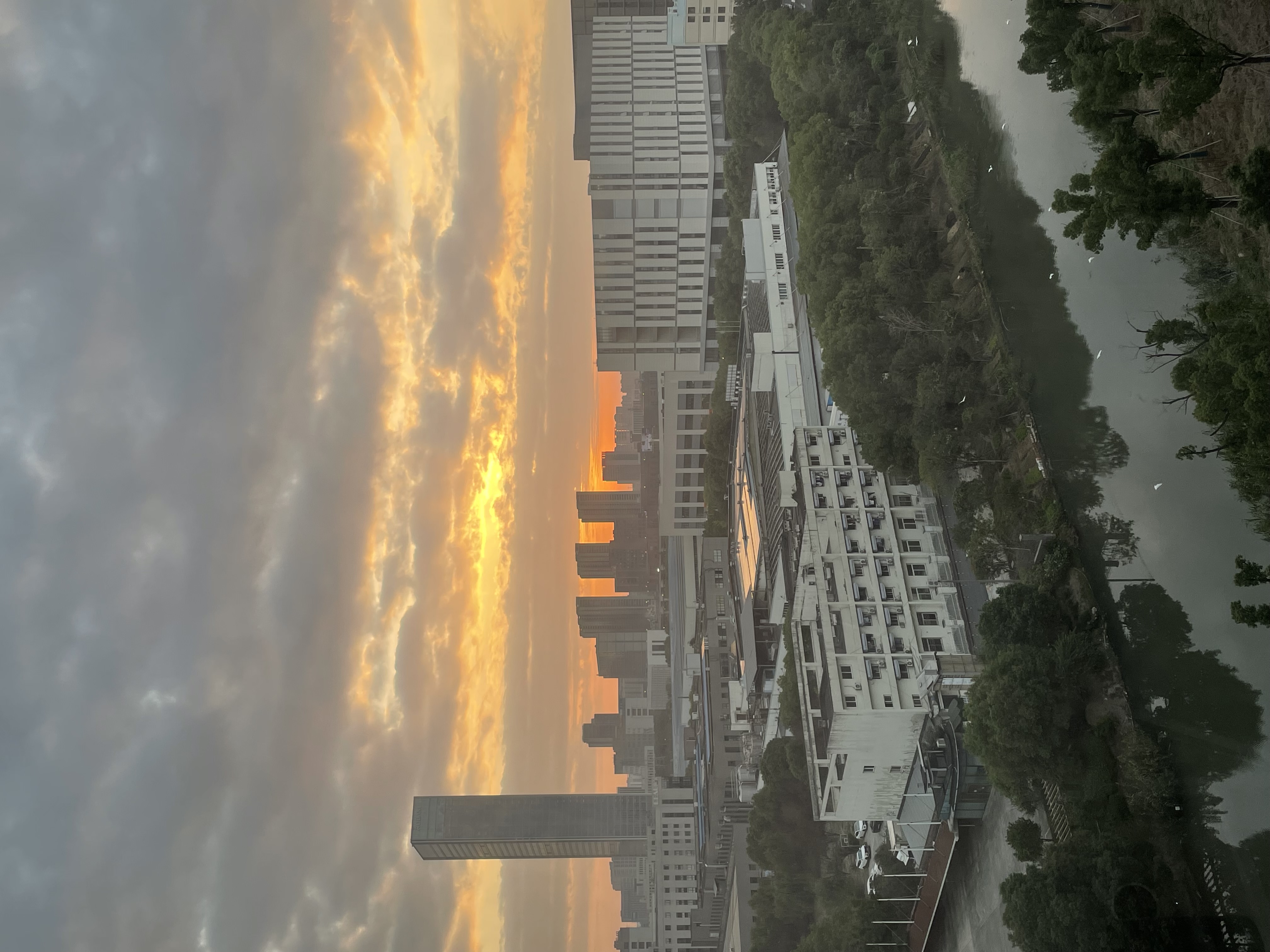 IMG_2618.jpeg
